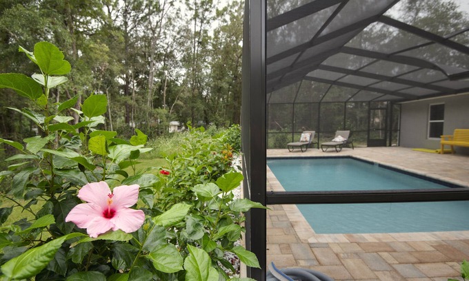 Citrus Springs Haus | Heated Pool Cheerful, Pet- friendly 3 Bedroom