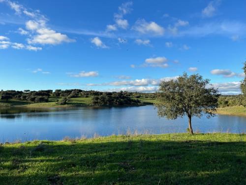 Alcacer do Sal Haus | Herdade Terra rica