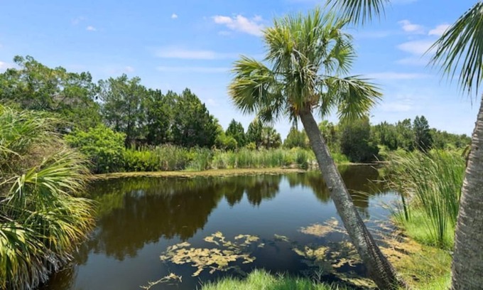 Spring Hill Wohnung | Hernando Beach Apartment- Downtown Close To Everything