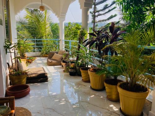 Ashvem Wohnung | Hidden Haven, Eden in India ! Quietest stay in Goa