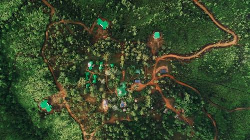 Mountain Pine Ridge Kabine | Hidden Valley Wilderness Lodge