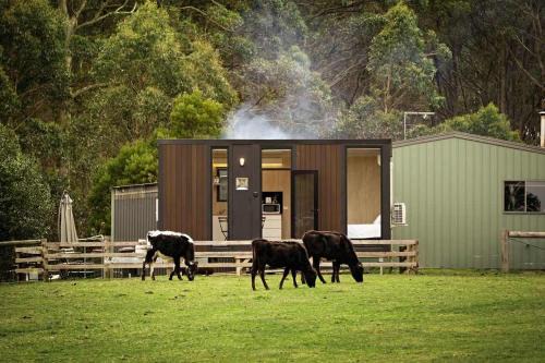 Jeeralang Haus | High on a Mountain Top by Tiny Away