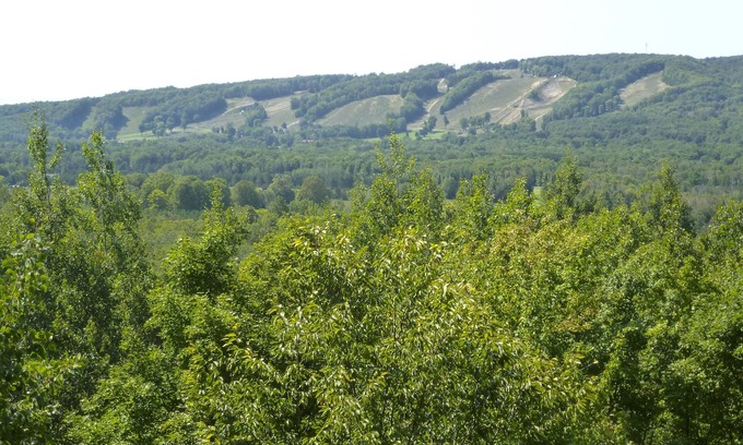 Harbor Springs Haus | Highlands View Cottage A Perfect Getaway 4 Season