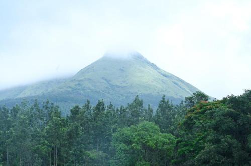 Chikkamagaluru Haus | Hill Shadow - With mountain view and pool