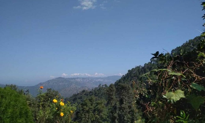 Kaul Haus | Himalaya-Ansicht, Zwitschernder Morgen
