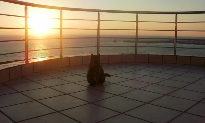 Pylos-Nestoras Haus | Ferienhaus Methoni für 1 - 9 Personen mit 4 Schlafzimmern - Ferienhaus