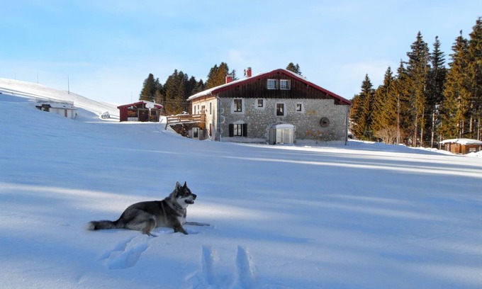 Septmoncel Haus | Homerez - Abgeschiedenes ruhiges Haus in Septmoncel mit Bergblick