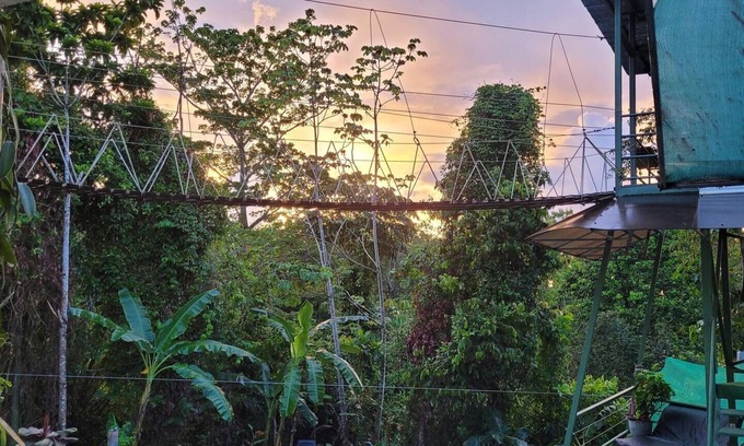 Parrita Haus | Tarzan Honeymoon Treehouse - Genießen Sie Sonnenuntergang, A / C, Pool, Ziplines
