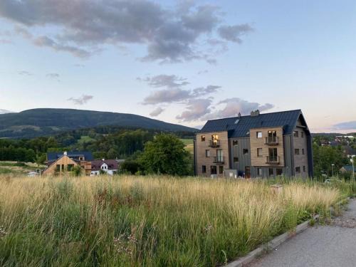 Cerny Dul Wohnung | Horský Apartmán Černý Důl