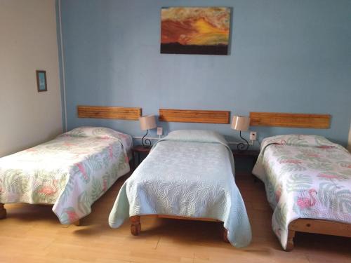 Zona Minerva Haus | Hostal don Felipe