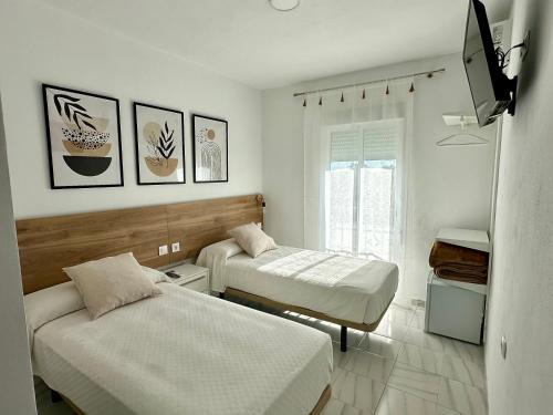 Jedula Haus | Hostal Merino Jédula