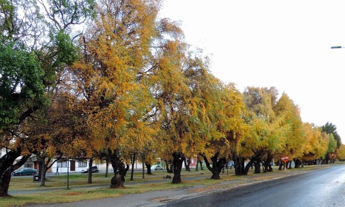 Punta Arenas Wohnung | Hostel Gran Via