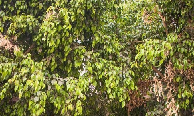 Ciudad del Maiz Hotel | HOTEL CASA GRANDE