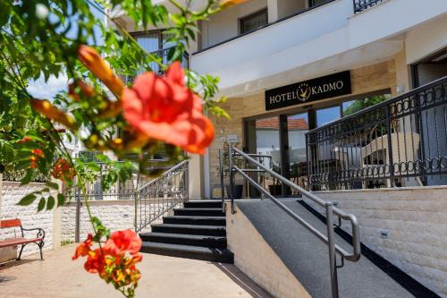 Maini Hotel | Hotel Kadmo by Aycon