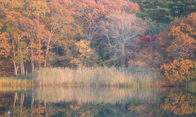 The Heights Haus | House on Chase Creek