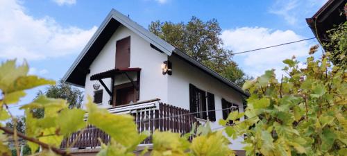 Strigova Haus | House Thara Studio Apartments