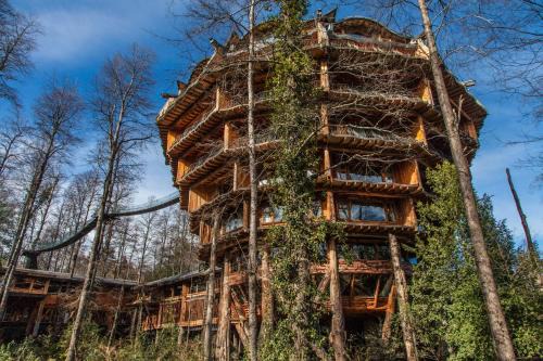 Neltume Kabine | Huilo Huilo Nothofagus Hotel & Spa