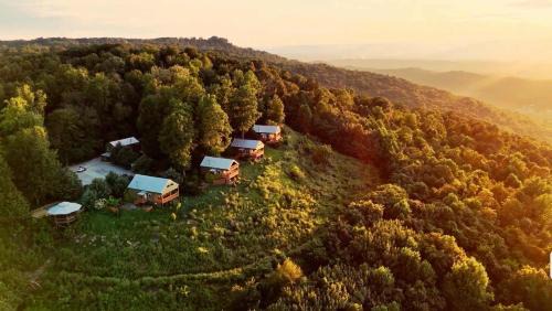 Bryant Haus | Hummingbird Cabin with a private hot tub