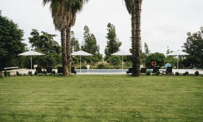 Palmela Haus | Humus Farm