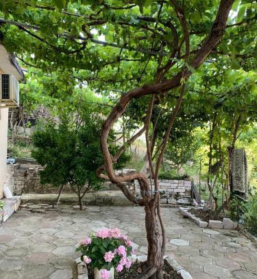 Gjirokaster Haus | Isaraj Guest House
