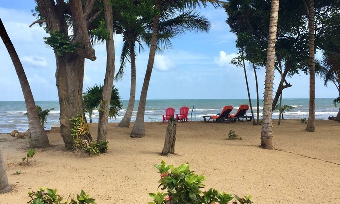 Sittee River Haus | Jan's Beach Cabana / Hopkins-Private Beachfront mit geräumigem Interieur
