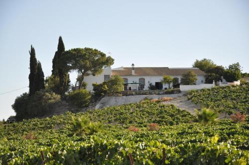 Jerez de la Frontera Haus | Jerez Viña Santa Petronila