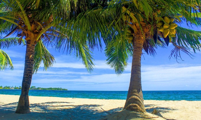 Placencia Kabine | Julia´s Cabanas
