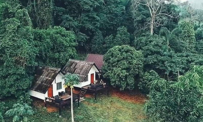 Pangmapha Haus | Jungle guest house