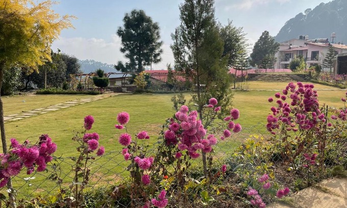 Shyamkhet Haus | KAFAL TREE Home Stay - PET FRIENDLY