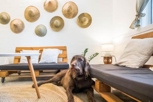Morong Wohnung | KAHILOM Nest Self-Service Home in Rainforest Nest with Kitchen - Monkeys, Bats, Pet Friendly with a Fee