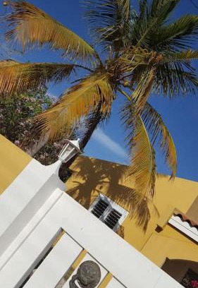 Belnem Wohnung | Kas Calimero, a hidden gem in Bonaire