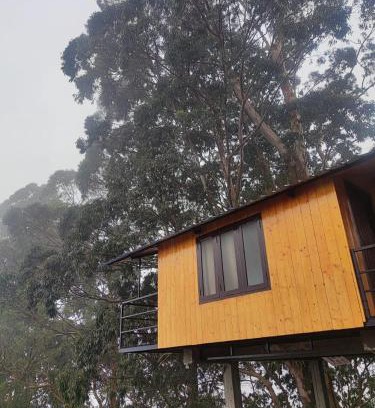 Vattakanal Wohnung | Kelvin Eva wood house