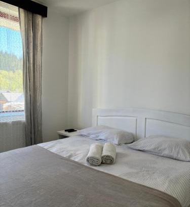 Borsec Wohnung | Kiadó apartman
