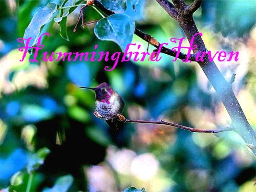 Sanger Haus | Kings River Reflections