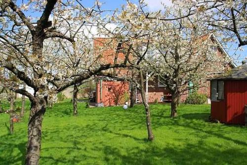 Gruenerdeich Wohnung | Knubberhaus - Das Ferienhaus im Kirschenhain
