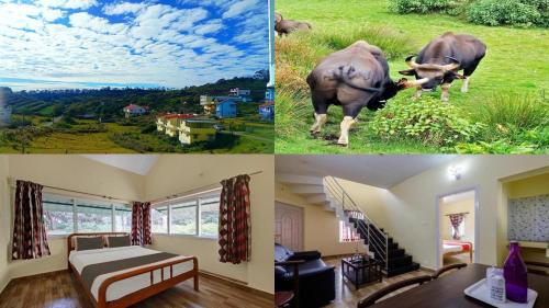 Kodaikanal Haus | Kodai Mist Starlight Hotels