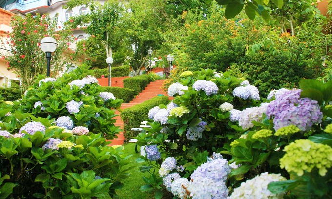 Kodaikanal Hotel | Kodai Resort Hotel