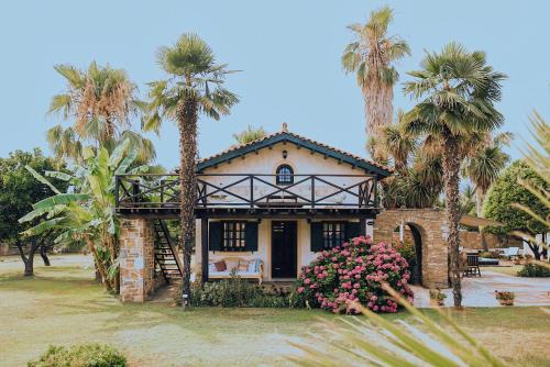 Artemida Haus | Ktima Zotos luxury exotic cottage 2