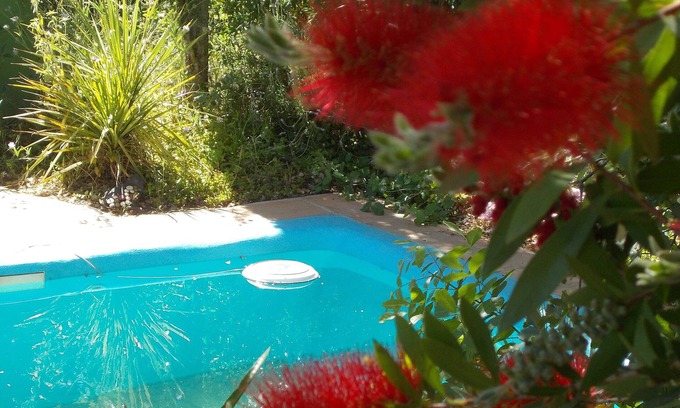 Zafarraya Haus | La Carpa ... Bigtop in einem Waldgebiet