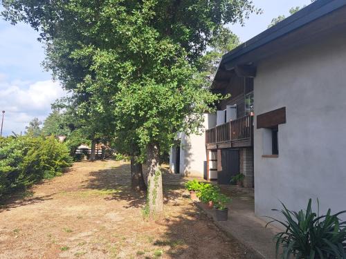 Olius Wohnung | La casa del pi