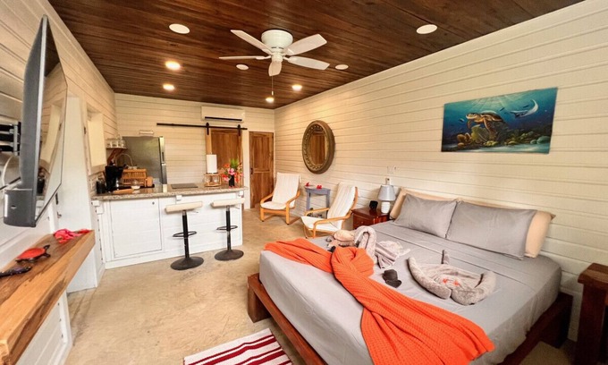 Caribbean Way Haus | La Vida Belize Studio an Affordable Property Just steps from the Beach
