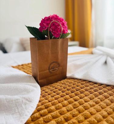 Luhacovice Wohnung | Labela Luhačovice Apartment