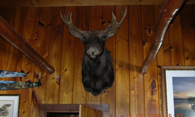 Princeton Kabine | Lakeshore Cottage, Maine Atemberaubende Schönheit auf Pocomoonshine See