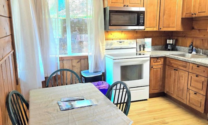 Chicago Park Kabine | Lakeview Country Cabin ~ Studio King Bed w/ Futon