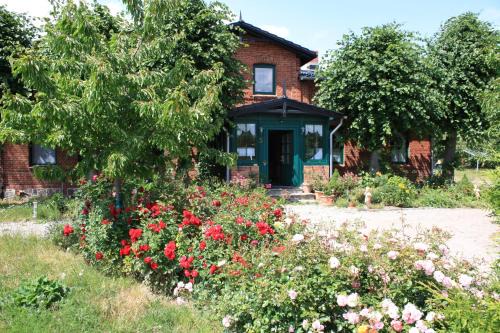 Alt Bukow Wohnung | Landhaus Questin