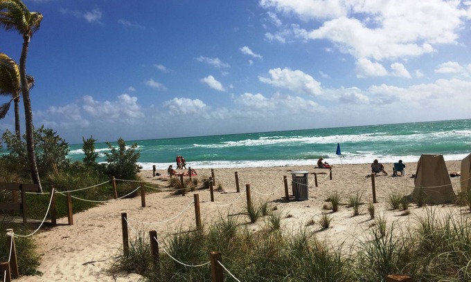 Hollywood South Central Beach Eigentumswohnung | Tolle Suite am Strand (s/w Miami and Ft Lauderdale) in Südflorida