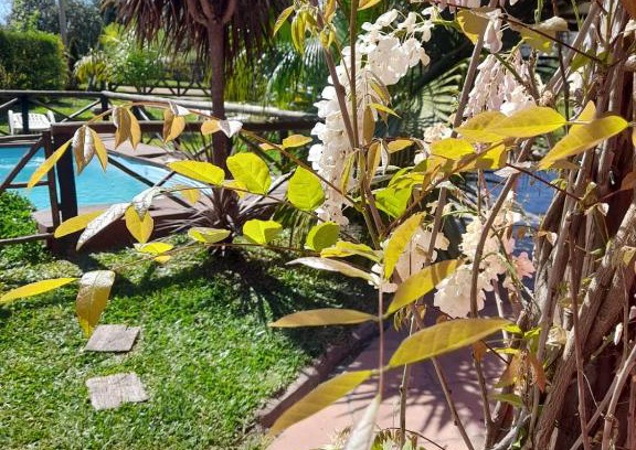 Concepcion del Uruguay Haus | LAS CALAS