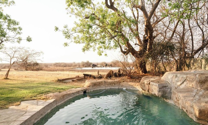 Madikwe Game Reserve Kabine | Last Word Madikwe