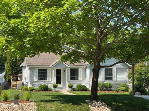 Frankfort Haus | Latitude Adjustment Ii - Simply Gorgeous!