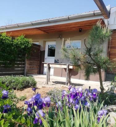 Debrecen Haus | Lazy Days